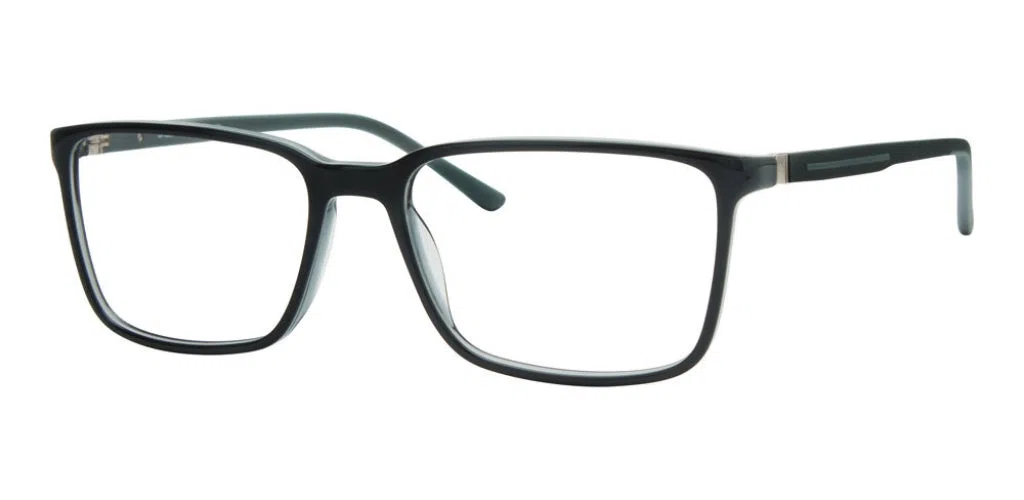 Chesterfield CH115XL Eyeglasses - view 4